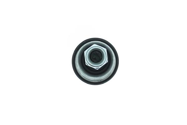 Rotule de suspension (Rotule de pivot) AISIN ref. JBJHY-018